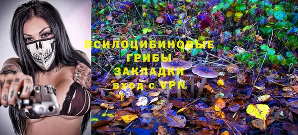 спайс Алексин