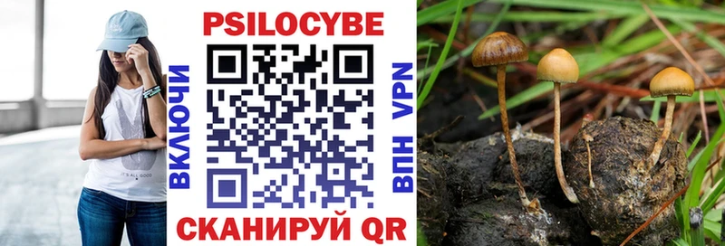 Псилоцибиновые грибы ЛСД  Октябрьск 